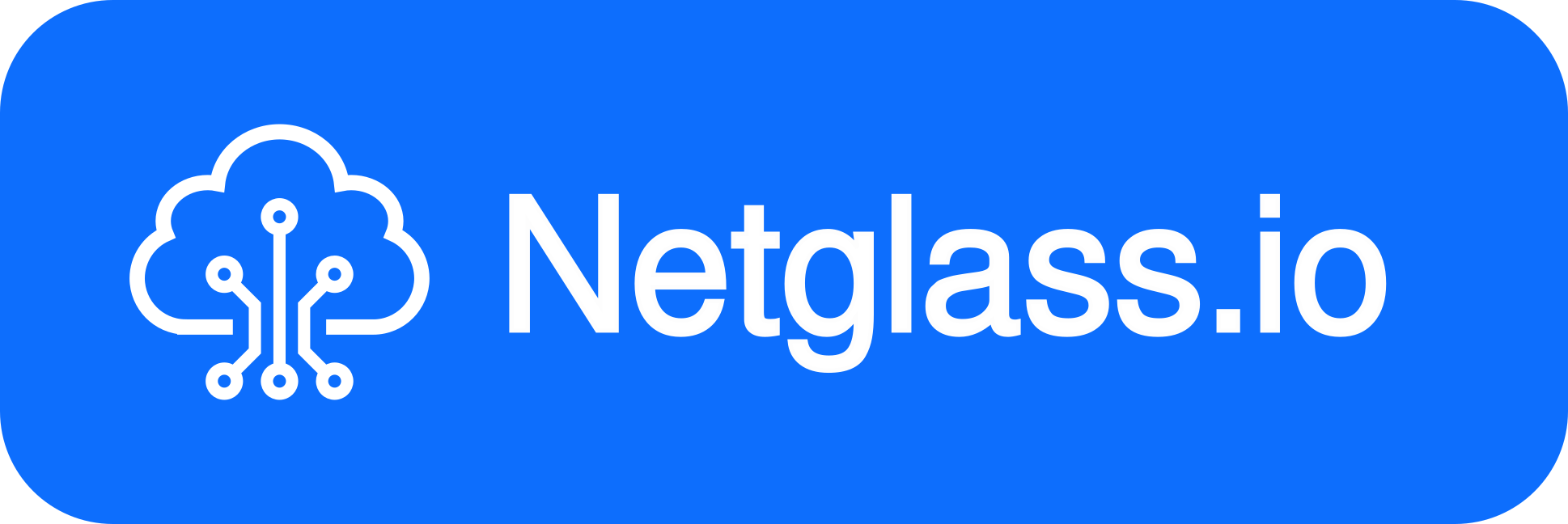 Netglass Logo
